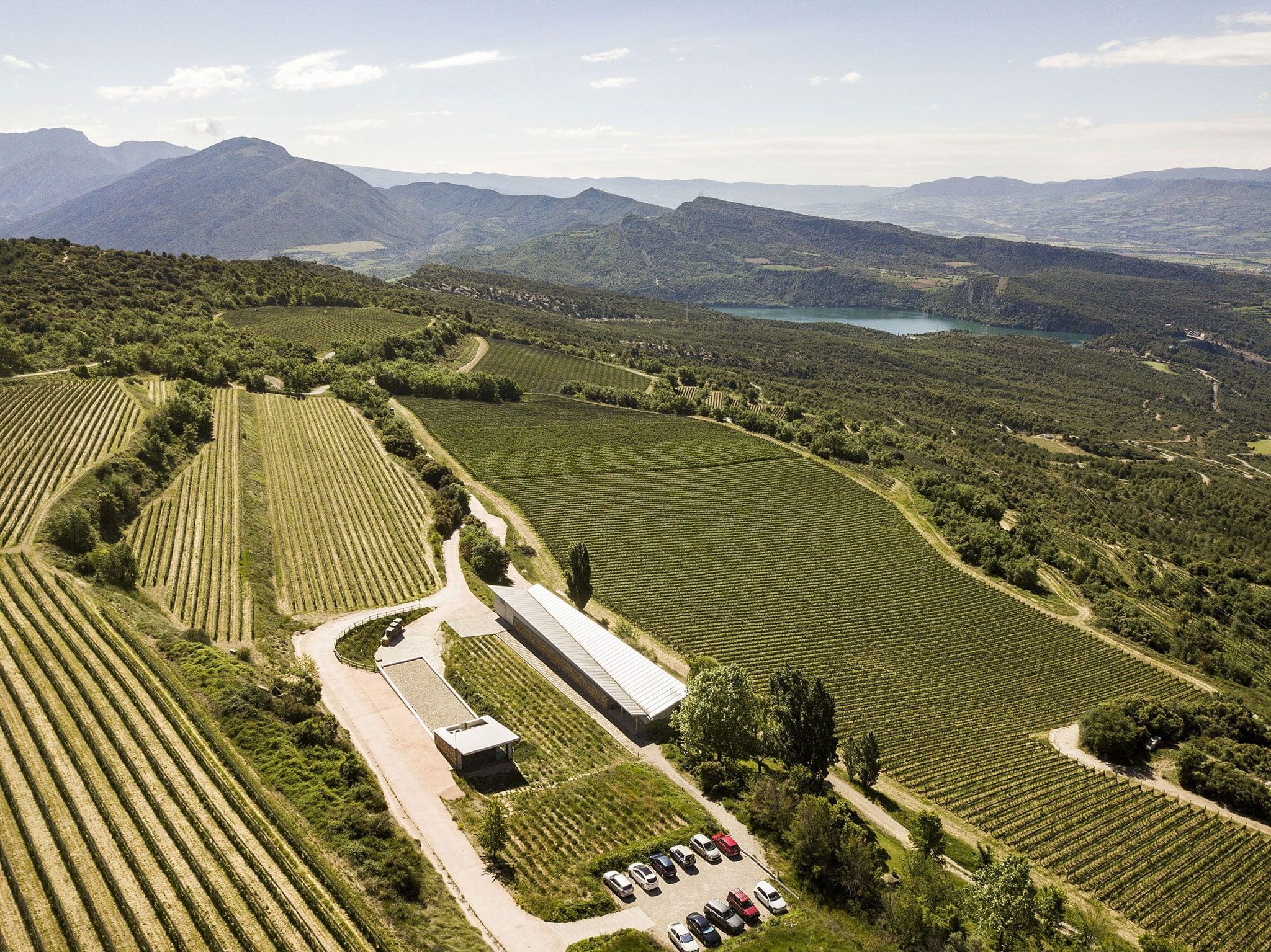 Imagen aérea de la bodega y los viñedos con las sierras de Sant Corneli y Carreu