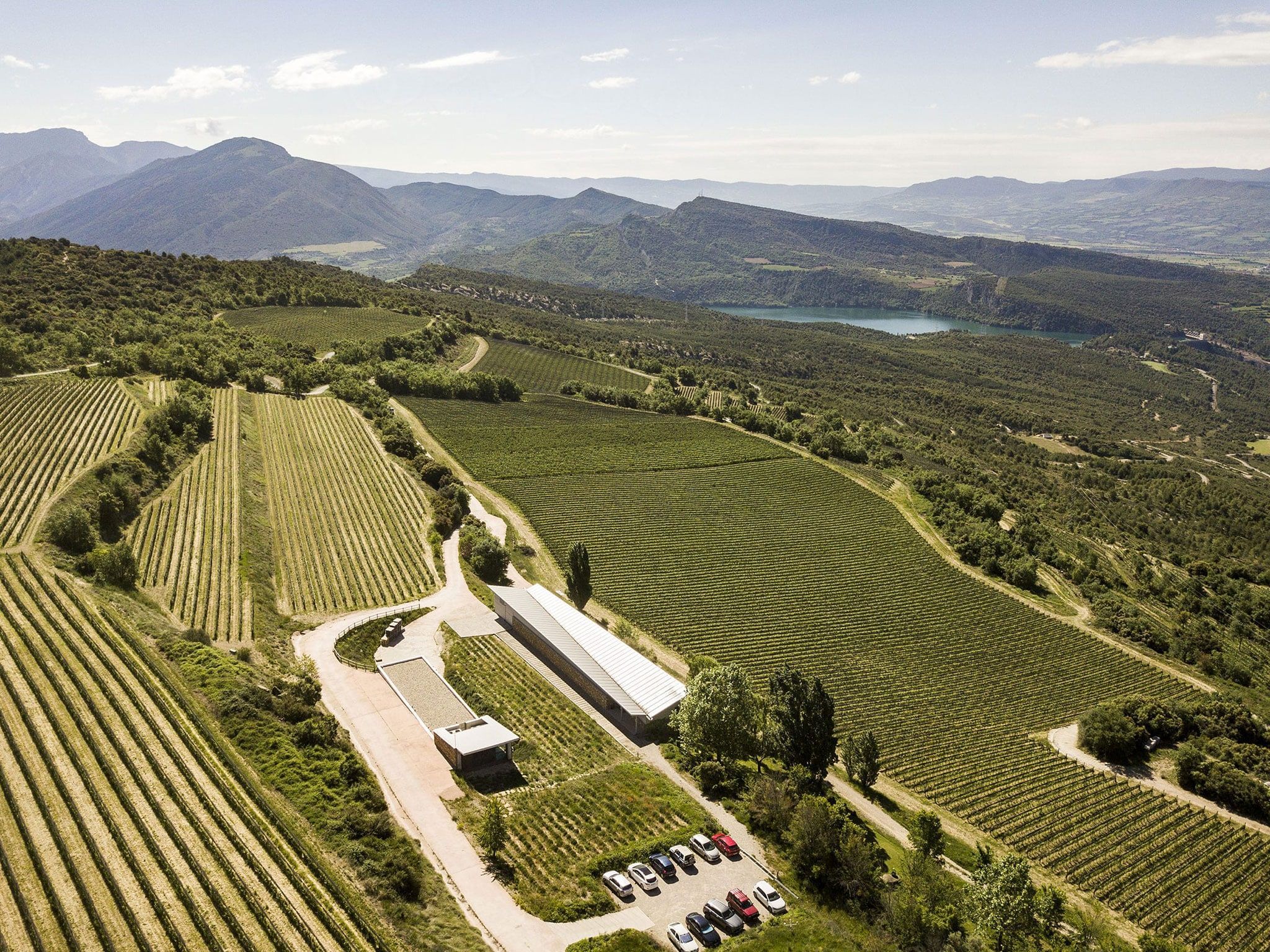 Imatge aèria del celler i les vinyes amb les serres de Sant Corneli i Carreu