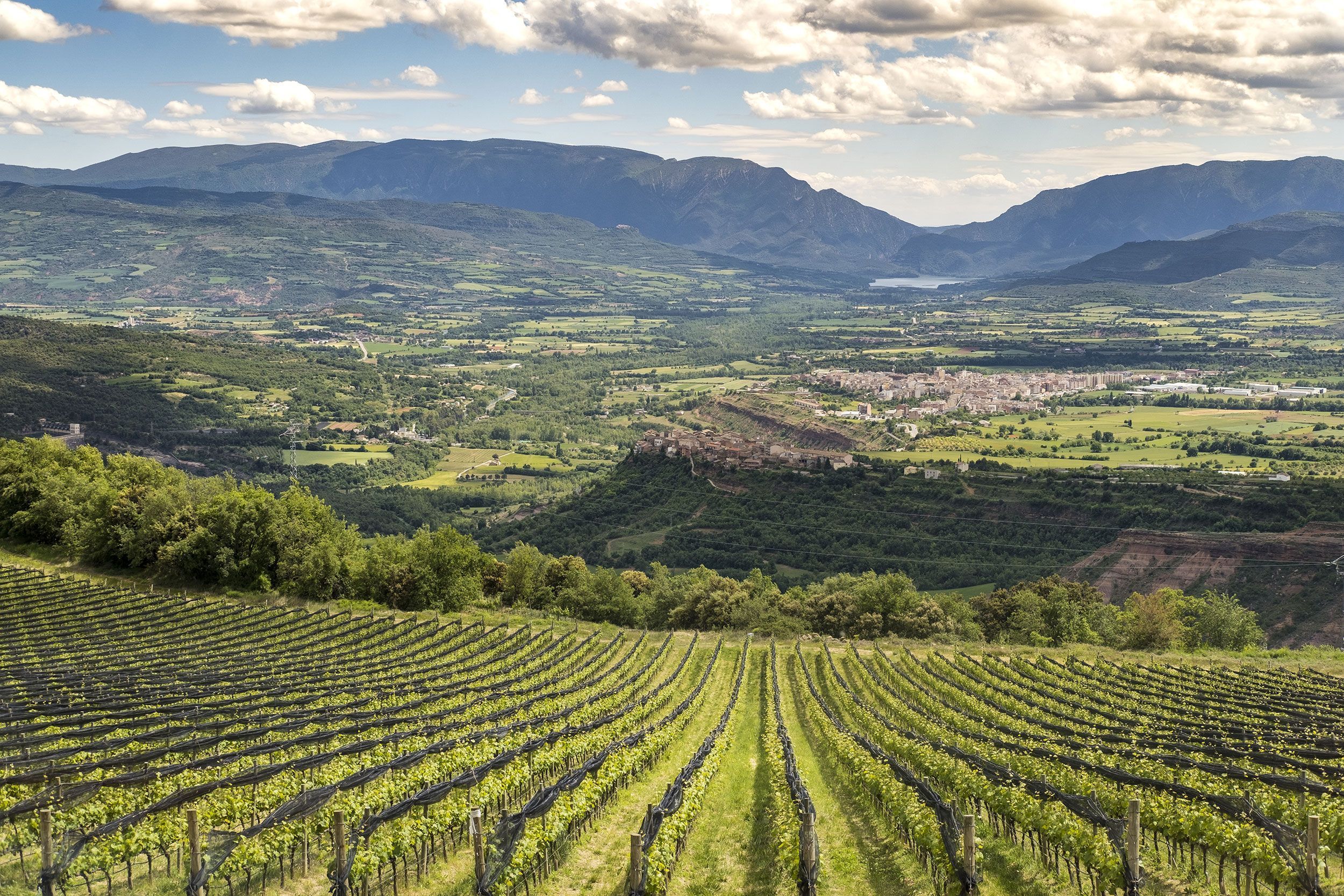 Castell d'Encus vineyard and Conca de Tremp views