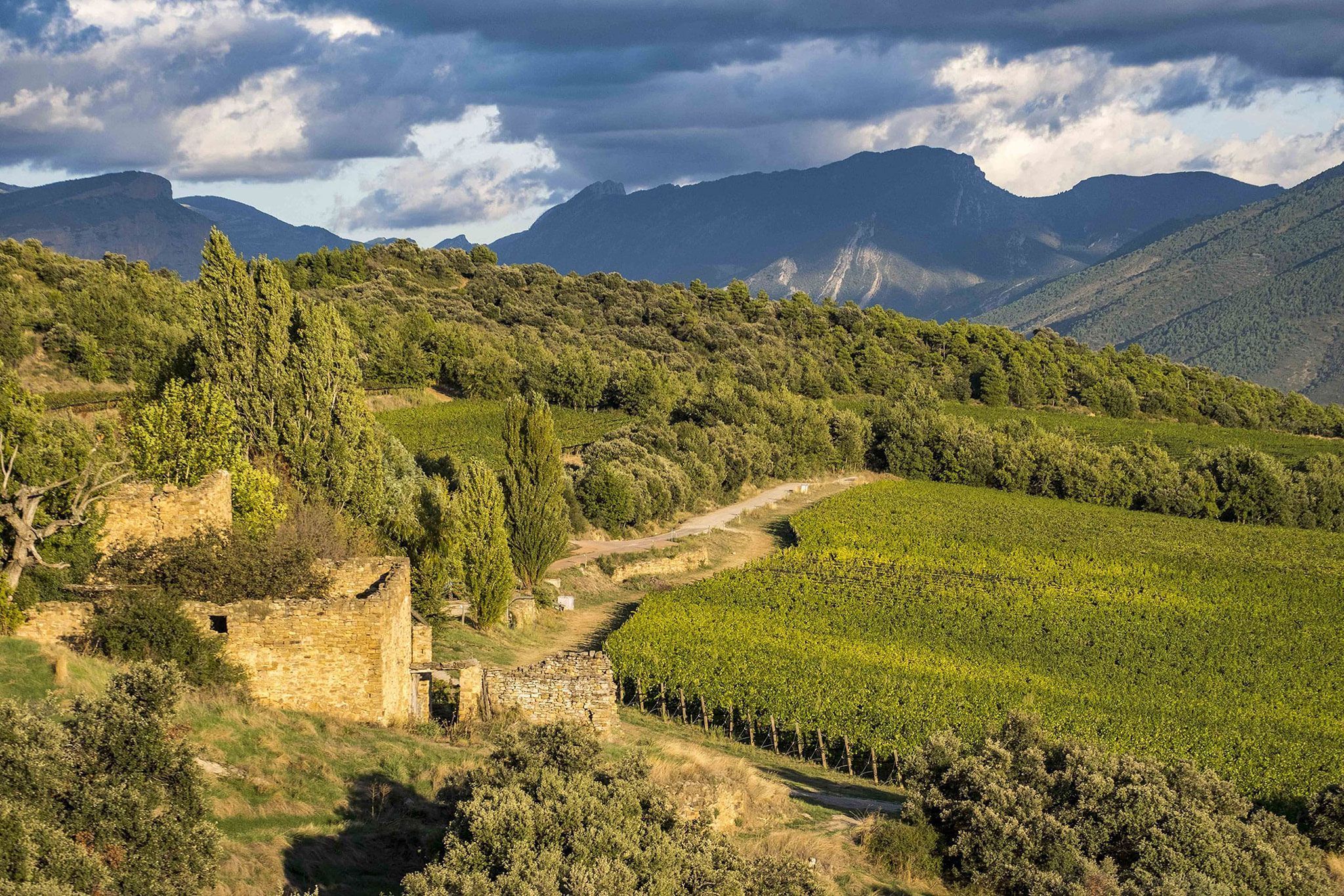 Viñas de Castell d'Encus y antigua casa pairal