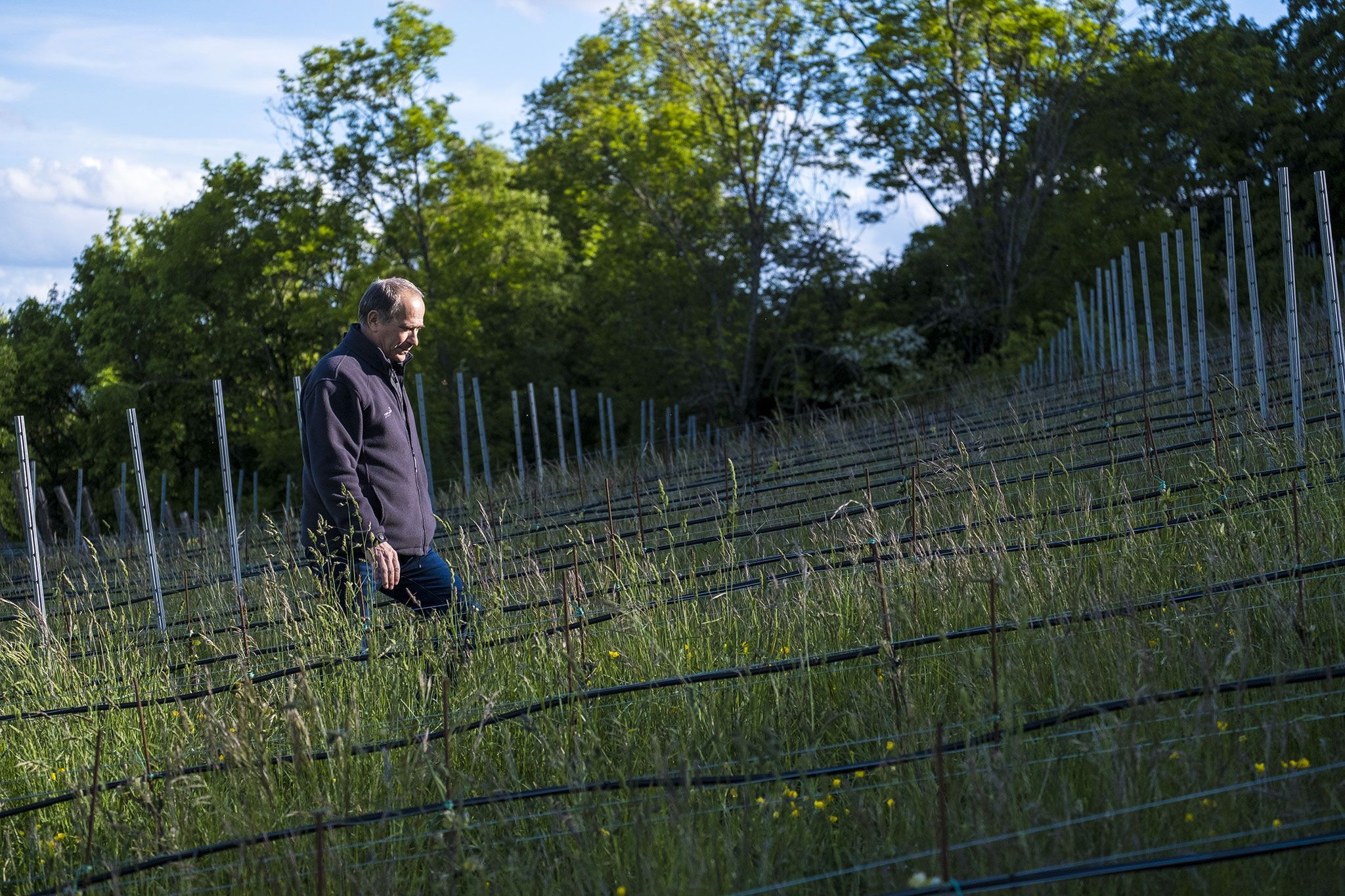 Raül Bobet thoughtful in the vineyards of Astell