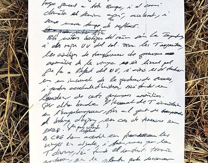 Manuscrits d’Encus – Vineyard and cellar notes