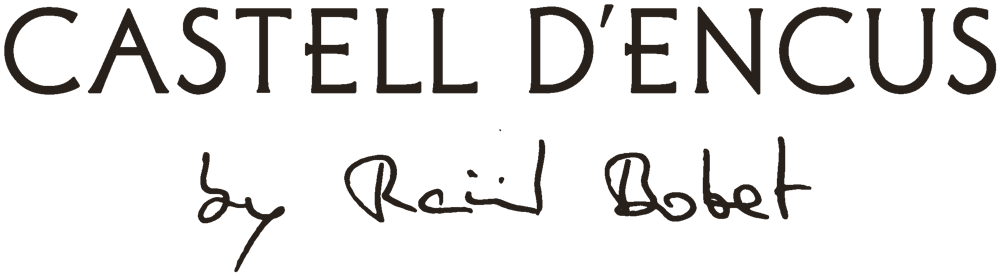 Castell d'Encus